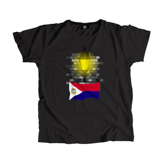 Saint Martin Flag Street Lamp Bricks Unisex T-Shirt