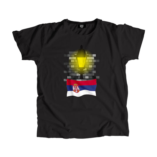 Serbia Flag Street Lamp Bricks Unisex T-Shirt