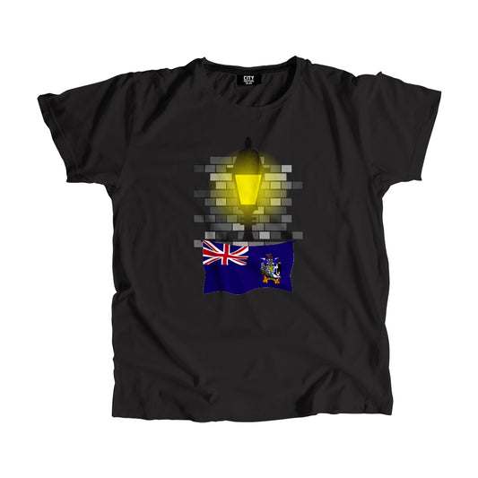 South Georgia and the South Sandwich Islands Flag Street Lamp Bricks Unisex T-Shirt