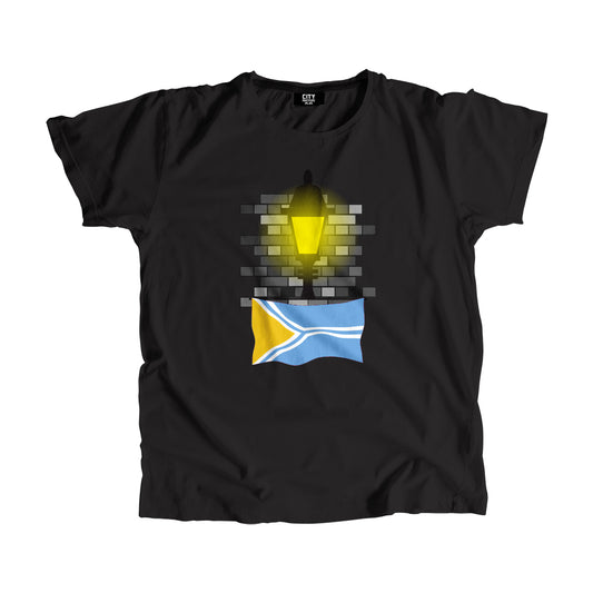 Tuva Flag Street Lamp Bricks Unisex T-Shirt