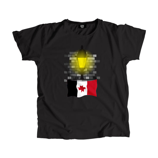 Udmurtia Flag Street Lamp Bricks Unisex T-Shirt