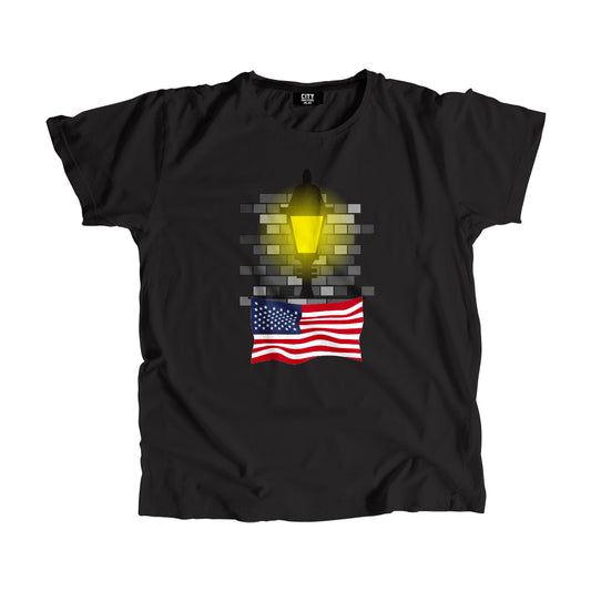 United States Flag Street Lamp Bricks Unisex T-Shirt